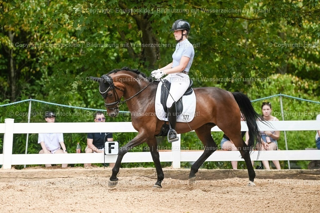 20230715_02_Dressurreiterprüfung Kl.L_0404 | equistock