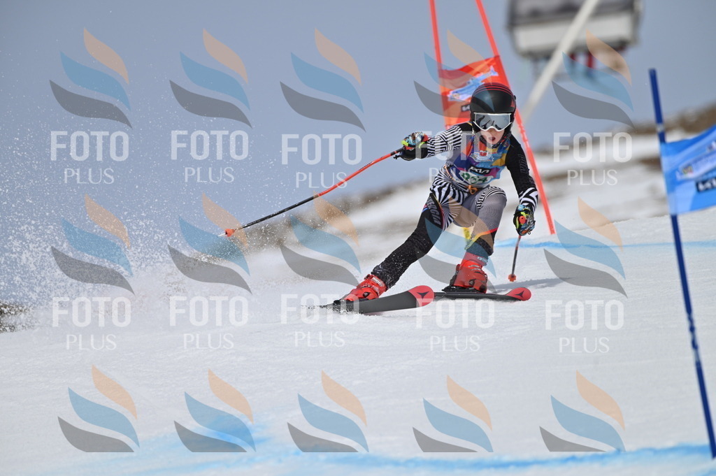 BGV_4636 | holidayphoto