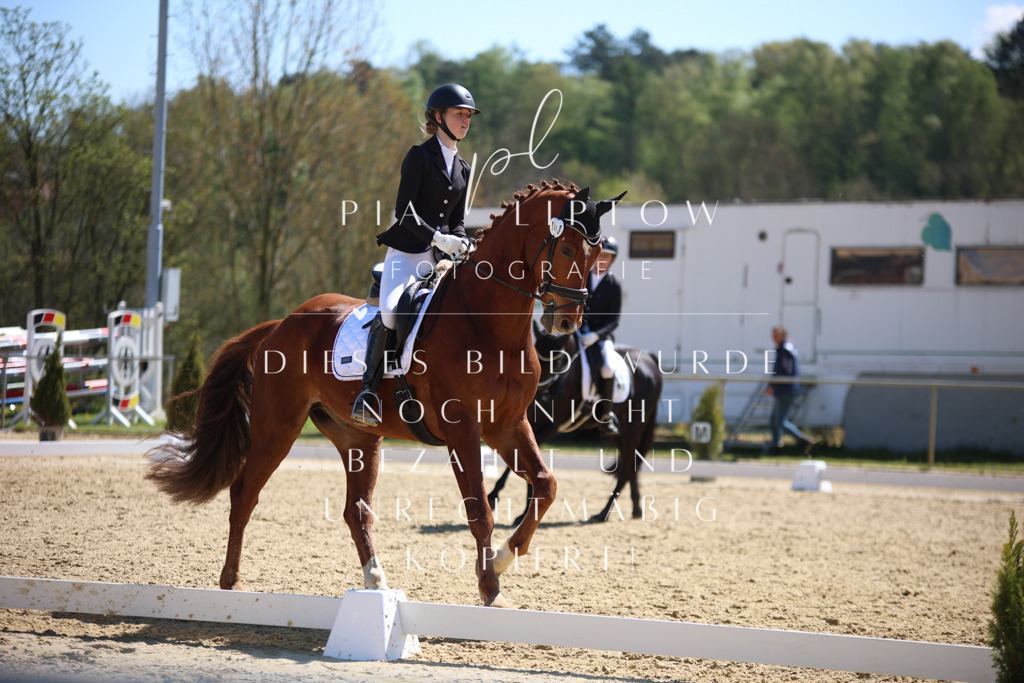 IMGT1395 | pl-fotografie