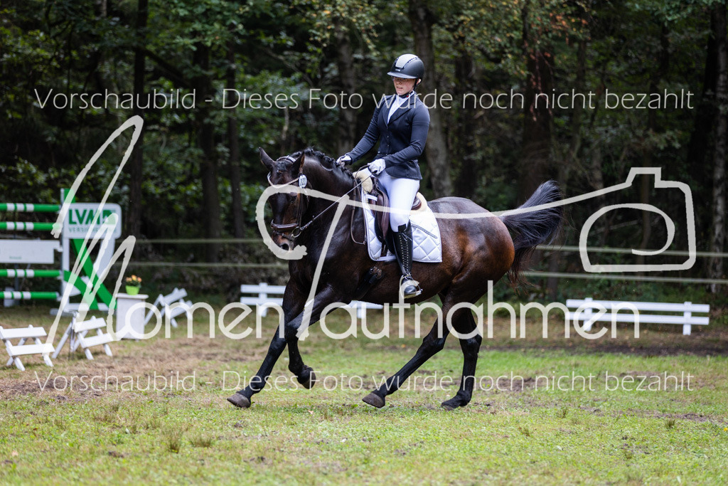 HB-Dressur-WB-021 | MomenTaufnahmen Pferdesportfotos