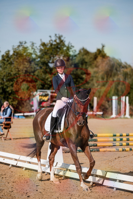 2026_10_03_Siefer-Hof_114751_Z63_27244980 | Professionelle Reitsport-, Turnier- und Eventfotografie von Robert Broda. Galerien mit ausgewählten und bearbeiteten Bildern direkt online ansehen und bestellen.