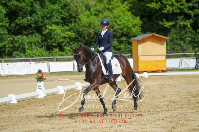 DKP45563 | Turniersportfotografie; Pferdefotografie; Dressurfotografie