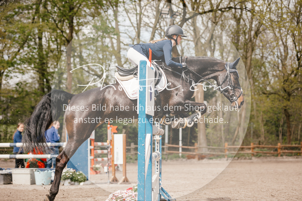 3I6A4272 | Stimmungsvolle Portraits und Reitsportfotografie im Ruhrgebiet und im Münsterland.

Pferdefotografie, Hundefotografie, Tierfotografie, Reportagen, Portraits von Tier und Mensch, Turnierfotografie in Bochum, Recklinghausen, Marl, Haltern am See, Dülmen.. - Realisiert mit Pictrs.com