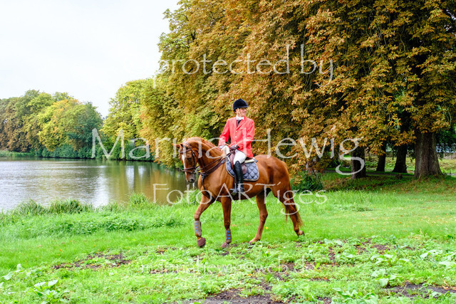 Jagd Kletkamp 26-9461_MarinaHewig | Fotografie, FotoArt, PferdesportArt, Pferdesportfotografie, Landschaftsfotografie, Reisefotografie, Reise, Pferde - Realisiert mit Pictrs.com