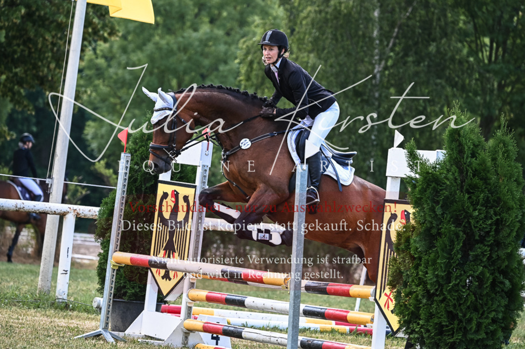 DSC_8058 | Pferde- und Turnierfotografie in Westsachsen. Pferdeportraits, Auftragszeichnungen und intuitive Kunst.