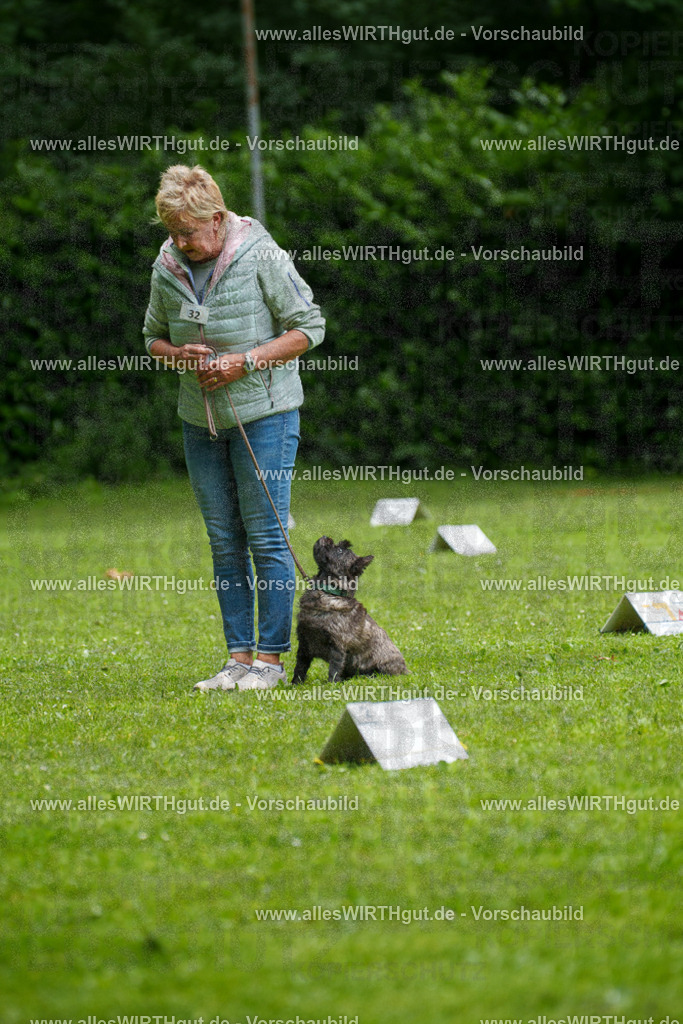@allesWIRTHgut_Tierfotografie - www.allesWIRTHgut.de - 7R504447 | Professionelle Tierfotografie in Mönchengladbach von Daniel Wirth (allesWIRTHgut). Liebevolle & natürliche Bilder von Hunden & Katzen für unvergessliche Erinnerungen.