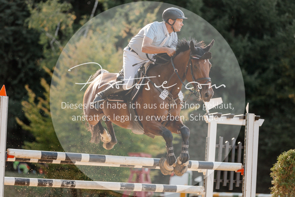 3I6A5248 | Stimmungsvolle Portraits und Reitsportfotografie im Ruhrgebiet und im Münsterland.

Pferdefotografie, Hundefotografie, Tierfotografie, Reportagen, Portraits von Tier und Mensch, Turnierfotografie in Bochum, Recklinghausen, Marl, Haltern am See, Dülmen.. - Realisiert mit Pictrs.com