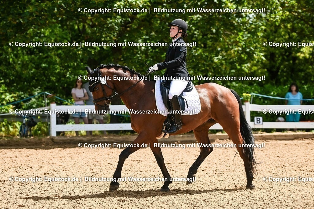 20230716_03_Dressurprfg. Kl.L - Tr._0094 | equistock