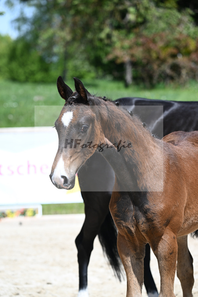 Escaneno x Negro_HF_Eder_11240489 | hf-fotografie - Realisiert mit Pictrs.com