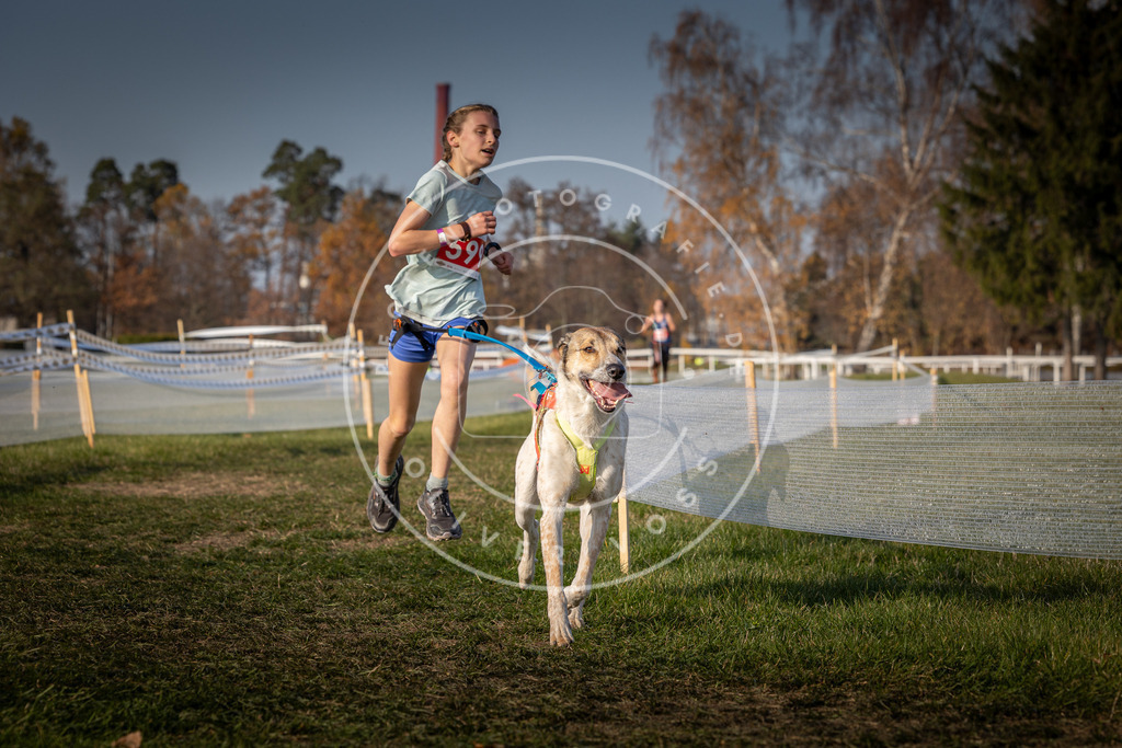 CaniXpix_0L8A0040 | Hundefotografie, Tierfotograf, Pfotenfotografie, Fotoshooting Hund, Hunde Portrait, Hundesport, Hundeportraits, Heideshooting, Hunde, Sportfotograf, Hundefotograf, Turnierhundsport, THS,  - Realisiert mit Pictrs.com