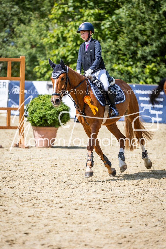 Donop24-SprRW-067 | MomenTaufnahmen Pferdesportfotos