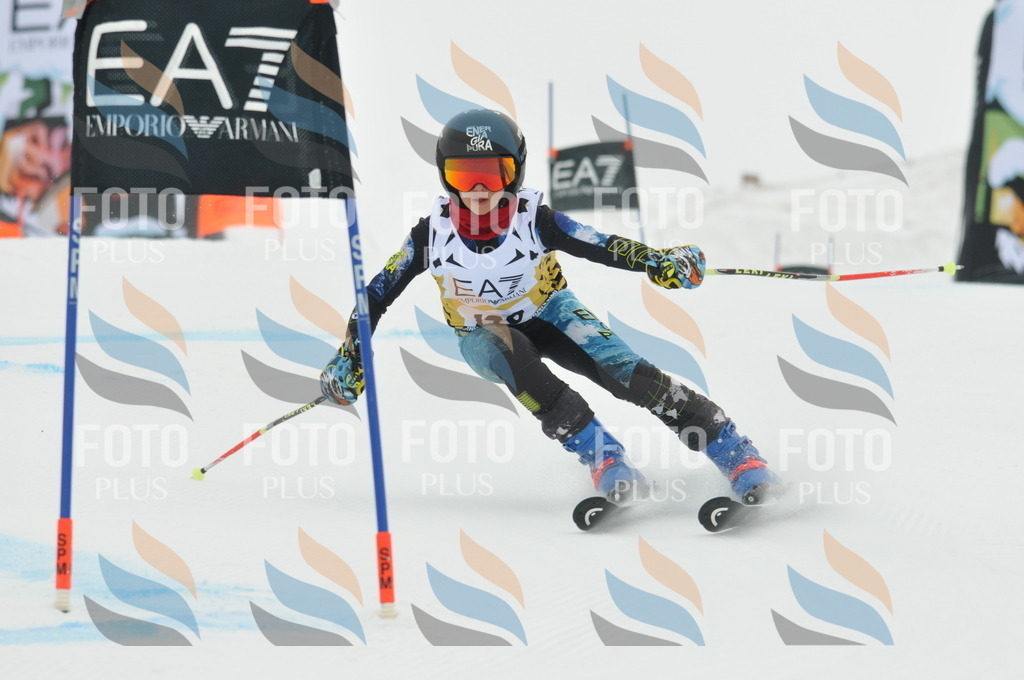 DSC_8217 | holidayphoto