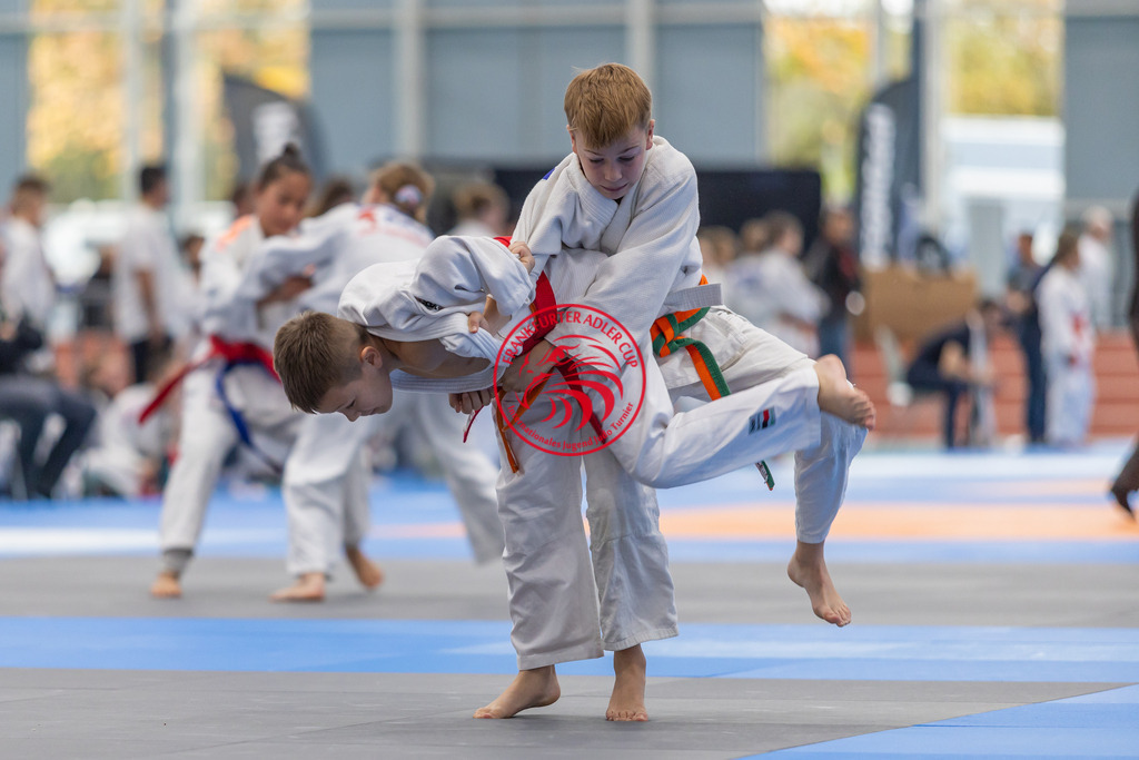 Internationaler Adler Cup 2024 | Foto vom Internationalen Adler Cup Judo Turnier im Sport- und Freizeitzentrum Kalbach im Oktober 2024 - Realisiert mit Pictrs.com