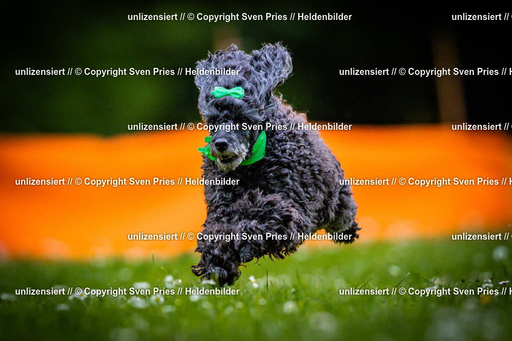 Sven Pries | 2025-05-29 - Pudelrennen KA-Durlach - Realisiert mit Pictrs.com