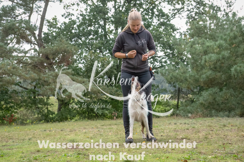 1313_ZZ92817-2-Bearbeitet | kk-dogfotos