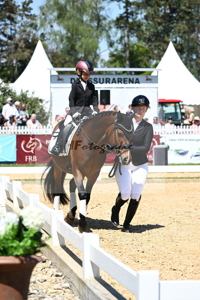Pony-Fuehrzuegel-WB Nuernberger Burg-Pokal_12245708 | hf-fotografie - Realizzato con Pictrs.com