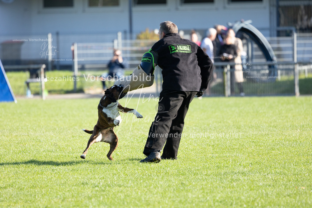 _16A5153 | Einzigartige Fotos von Hunden & Menschen –Actionfotos, Portraits, Vereinsaufnahmen & Paarshootings – authentisch, lebendig & mit Herz.