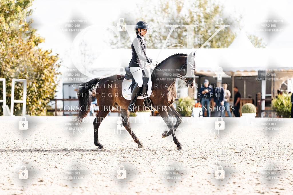 CK902152 | Turnierfotografie Pferdefotografie Trier Rheinland-Pfalz Pferdesport Reitsport Tierfotografie Sportfotografie Pferdevideo Pferdevideografie Equestrianvideography equestrianphotography  - Realisiert mit Pictrs.com