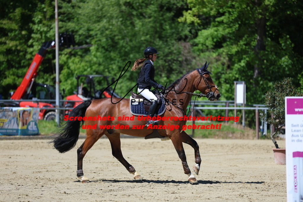 M05A6154 | lmwpictures - Realisiert mit Pictrs.com