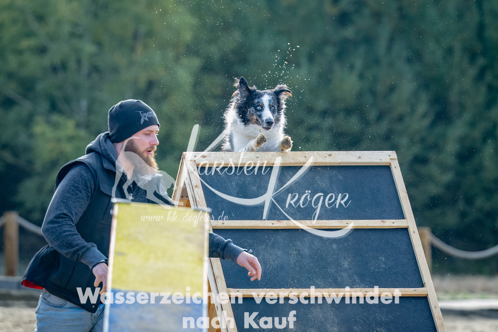 0958_ZZ93188-Bearbeitet | kk-dogfotos