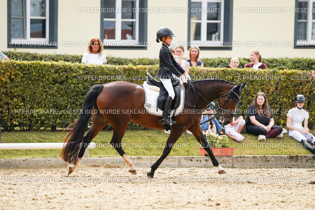 DSC01236 | Pferdegrafie