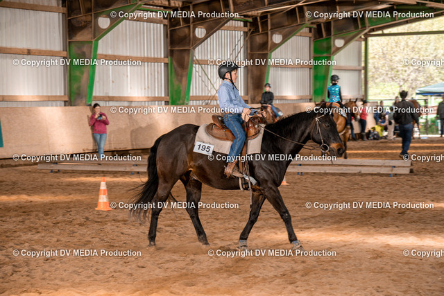 BAL02328 | dv-media-shop - Realisiert mit Pictrs.com