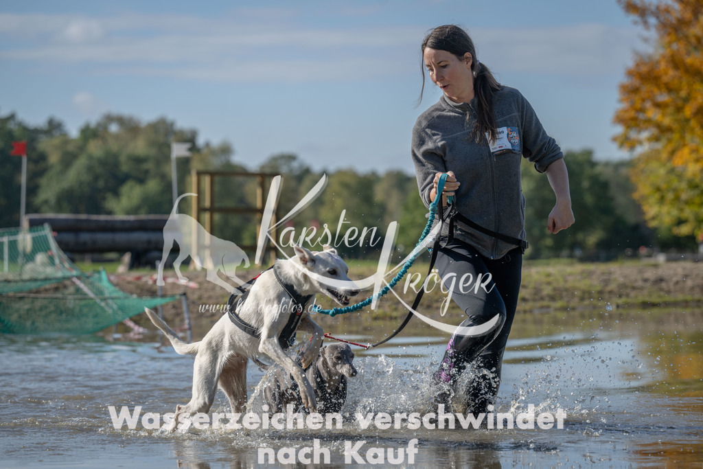 1322_ZZ90160 | kk-dogfotos