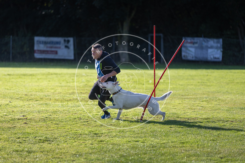 Pfotenfotografie.de_DV3A3229 | Hundefotografie, Tierfotograf, Pfotenfotografie, Fotoshooting Hund, Hunde Portrait, Hundesport, Hundeportraits, Heideshooting, Hunde, Sportfotograf, Hundefotograf, Turnierhundsport, THS, canicross - Realisiert mit Pictrs.com