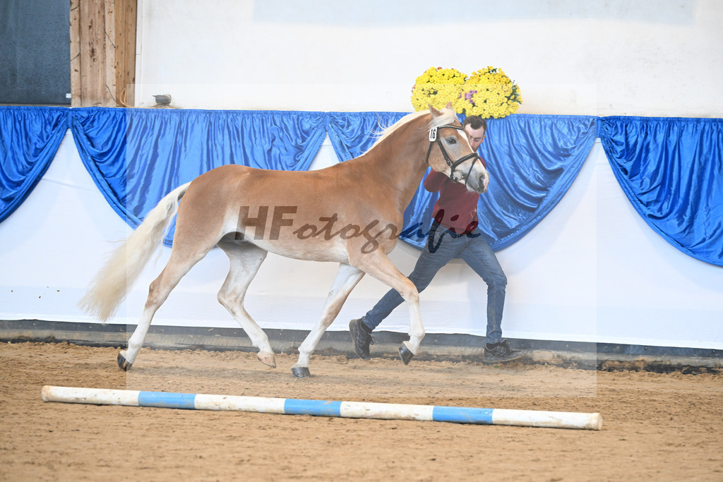 Kat-Nr. 16 nn v. Neustart_Obermeyer_48250934 | hf-fotografie - Realisiert mit Pictrs.com