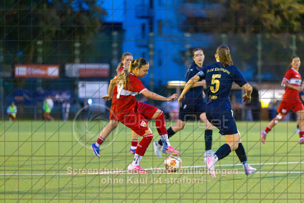 20261007_190455_0074_(c)_by_PhotoPeet | #,ASV Spartania Eislingen (blau) vs. VFB Stuttgart (rot), Fußball, Verbandspokal der B-Juniorinnen,  Saison 2026/2027, Kunstrasenplatz, Öschhalle, 73054 Eislingen, 07.10.2026 - 18:30 Uhr,Foto: PhotoPeet / Sport- &amp; Eventfotografie / Peter Harich