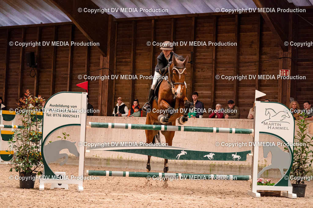 Springen Tag 3-338 | dv-media-shop - Realisiert mit Pictrs.com