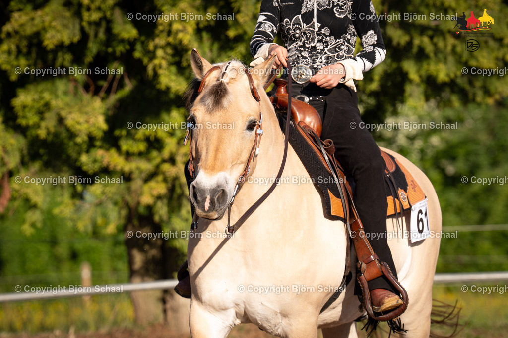 LMB08586 | BS-foto
