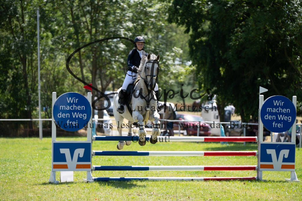 A7V06052 | Pferdefotograf