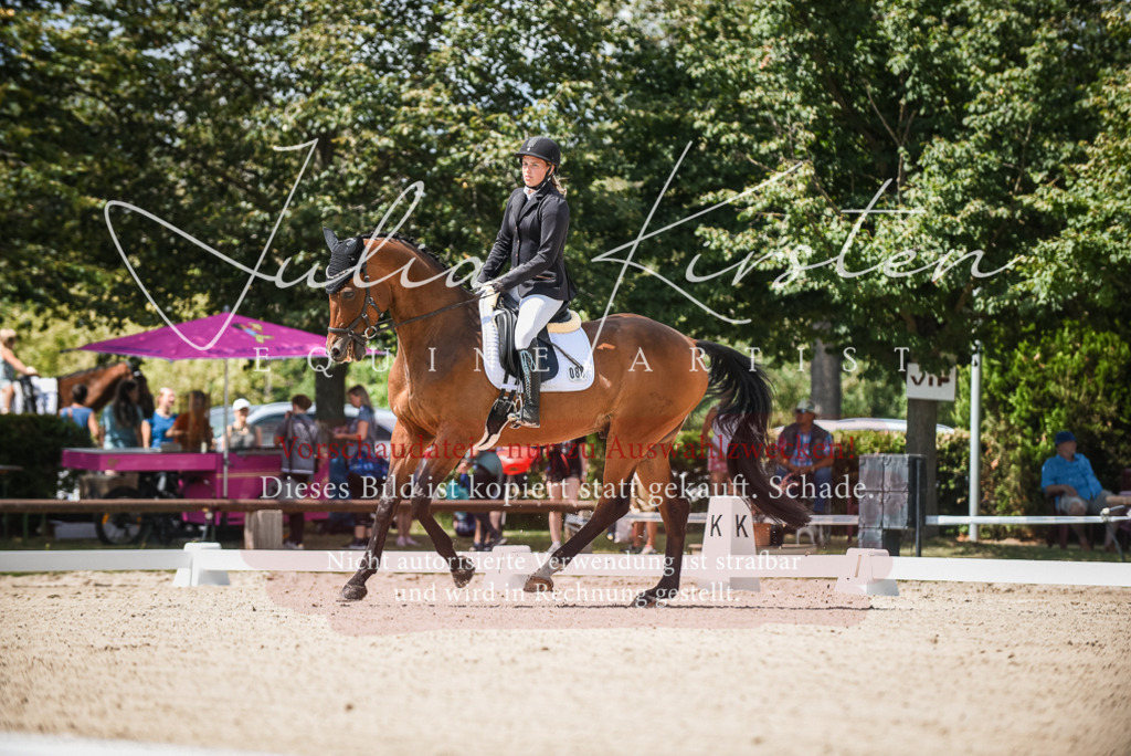 DSC_9026 | Pferde- und Turnierfotografie in Westsachsen. Pferdeportraits, Auftragszeichnungen und intuitive Kunst.