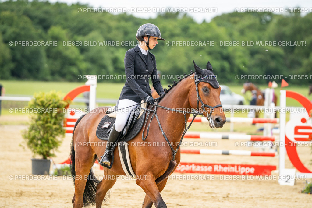 DSC06199 | Pferdegrafie