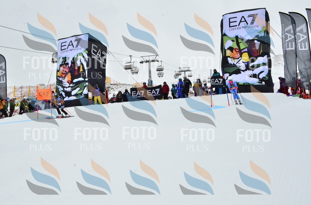 _ELE3294 | holidayphoto