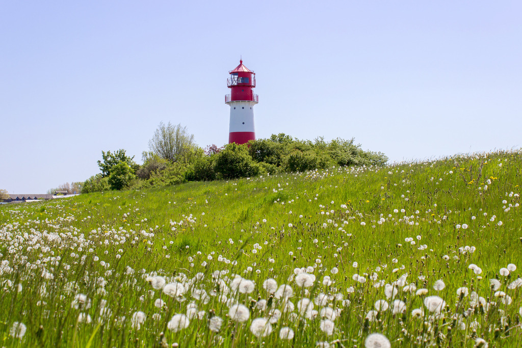 Wandbilder: Pusteblumen am Leuchtturm in Falshöft | Dieses Wandbild im Querformat zeigt einen der schönsten Leuchttürme an der Ostseeküste in Falshöft. Im Vordergrund befindet sich eine grüne Wiese mit zahlreichen Pusteblumen. Holen Sie sich dieses idyllische Wandbild nach Hause in Ihr Wohnzimmer, Küche, Schlafzimmer oder in Ihre Ferienwohnung, ins Büro, den Arbeitsplatz oder die Praxis. Es ist als Leinwand, als Acrylglas/Glasbild und Aluminium-Platte in vielen Abmessungen erhältlich. - Realisiert mit Pictrs.com