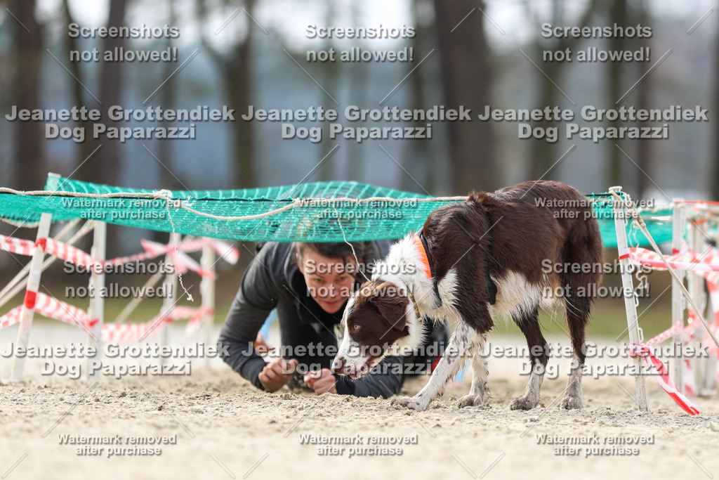 Dog Paparazzi - Strongdog North Mrz26-5308 | Dog Paparazzi Jeanette Grottendiek Fotografie & Videografie - Realisiert mit Pictrs.com