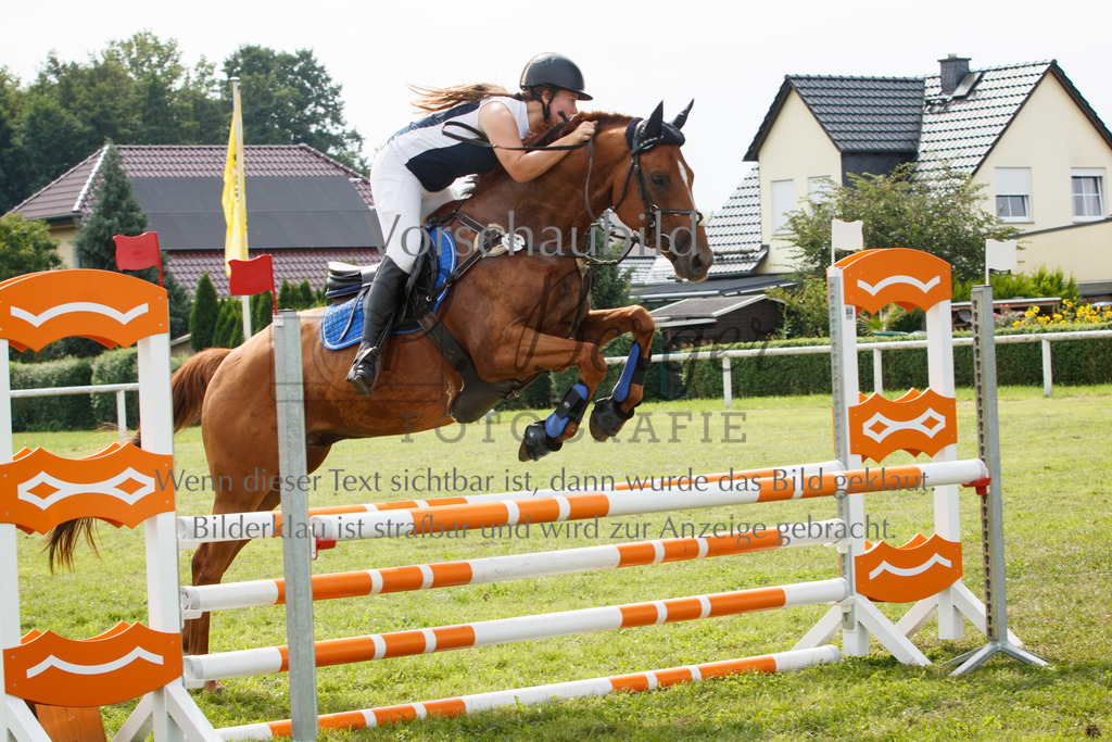 IMG_2912 | P. Berger Fotografie - Realisiert mit Pictrs.com