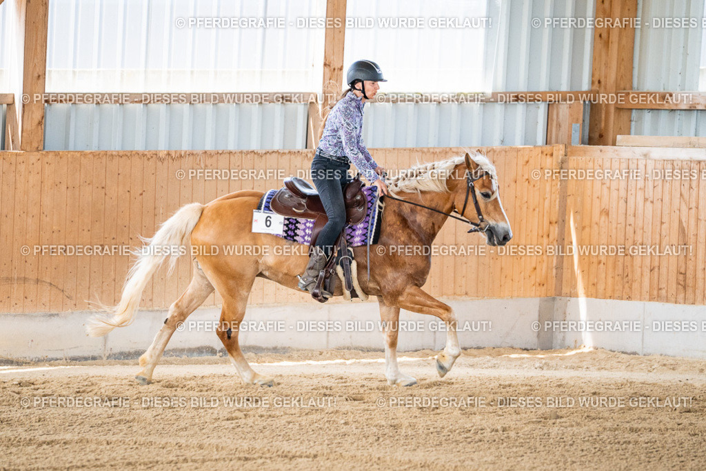 DSC02499 | Pferdegrafie