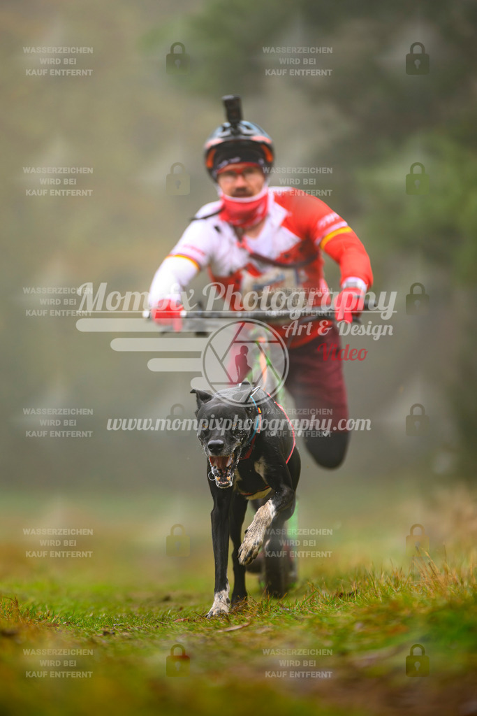 MompixPhotography_Bischwiller2025_Scooter-23 | mompixphotography