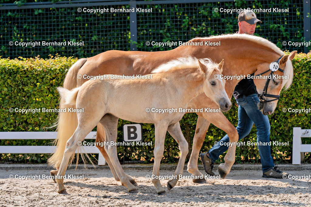 2A909666 | foto-team-bernhard - Realisiert mit Pictrs.com