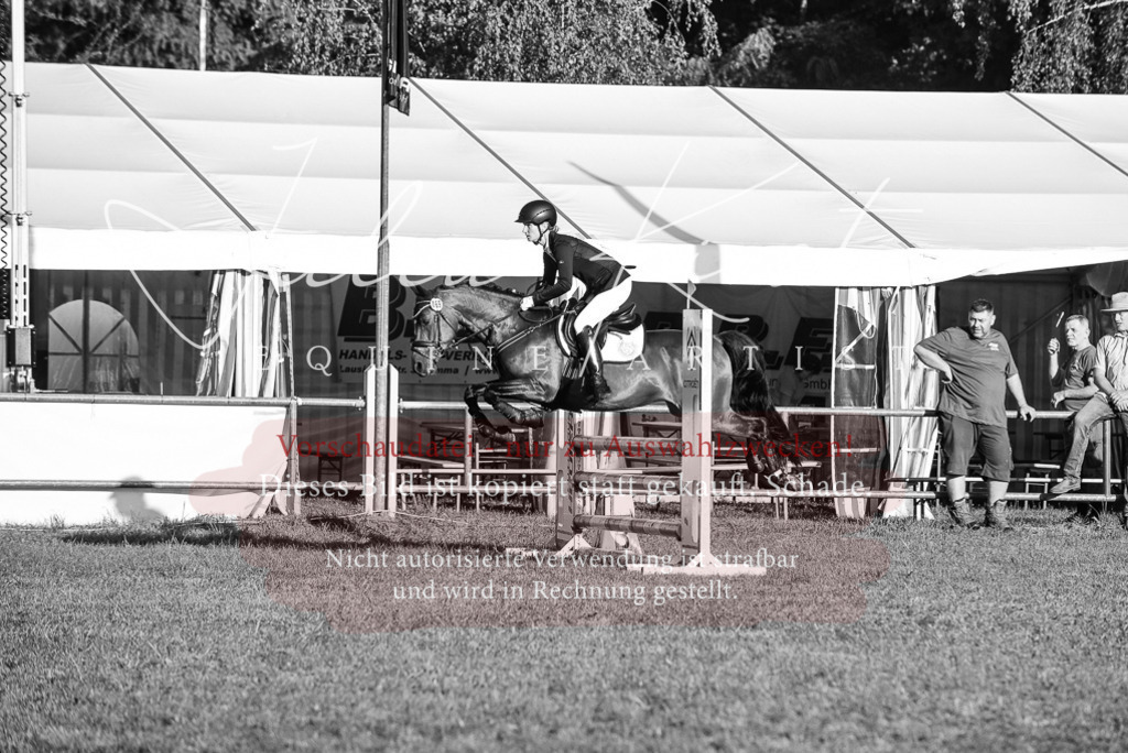DSC_4931 | Pferde- und Turnierfotografie in Westsachsen. Pferdeportraits, Auftragszeichnungen und intuitive Kunst.
