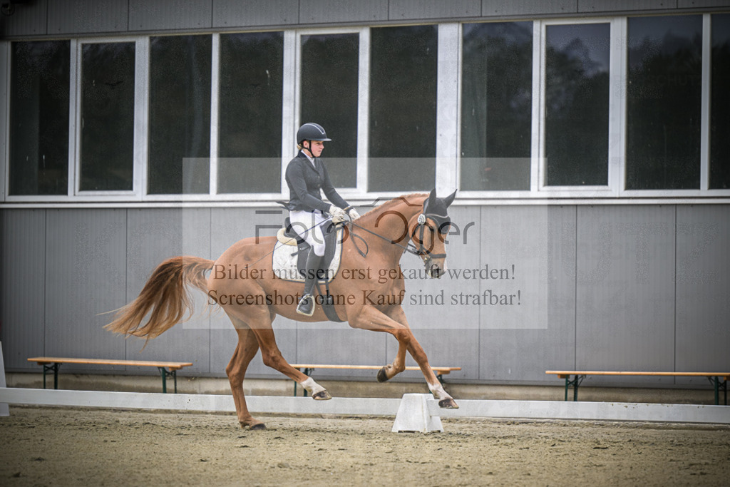 DOS_0468 | Entdecke hochwertige Reitturnierfotos von Foto Oger. Professionell, emotional und authentisch – jetzt Lieblingsmomente im Shop bestellen.Deutschlandweite Turnierfotografie. - Realisiert mit Pictrs.com