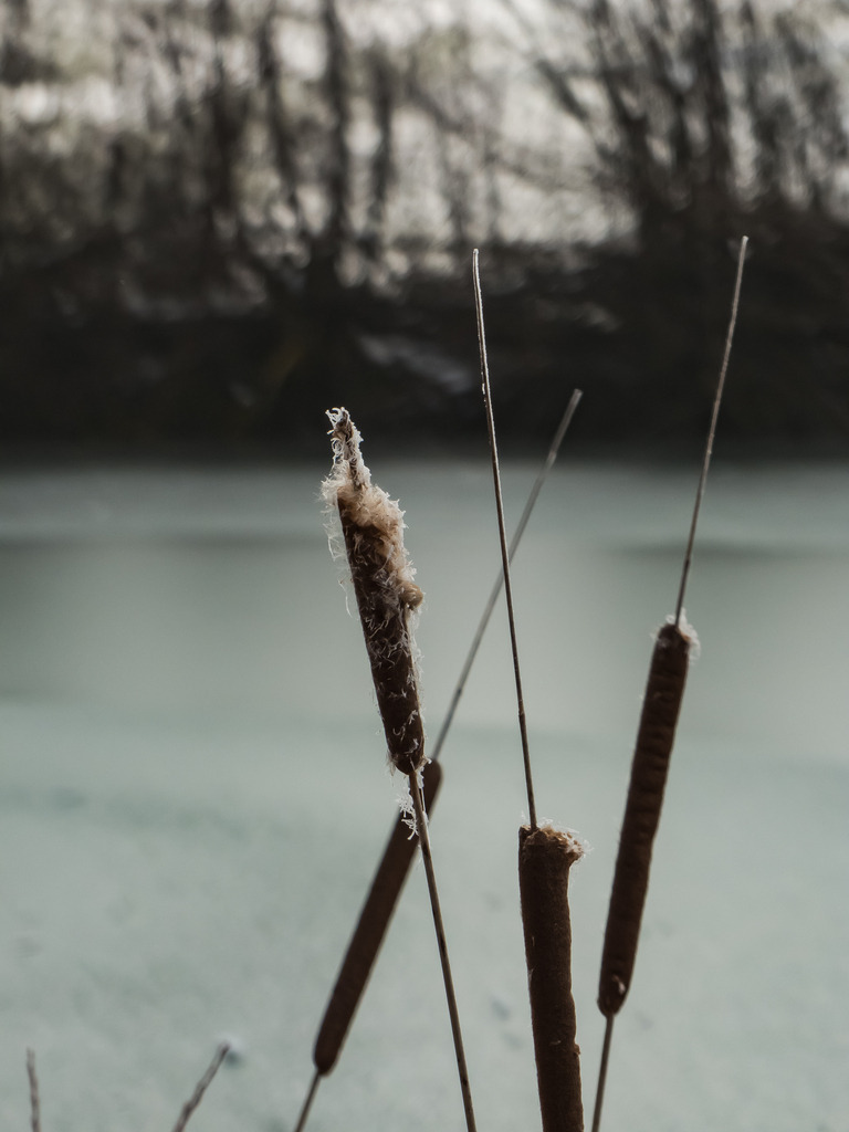 PSX_20230303_233428 | mtkfoto_ - Realisiert mit Pictrs.com