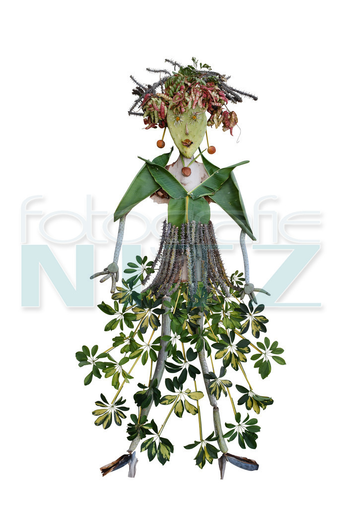 04 | Nitz Fotografie aus Montabaur bietet Ihnen hier die Möglichkeit Bilder auszusuchen und zu bestellen. 