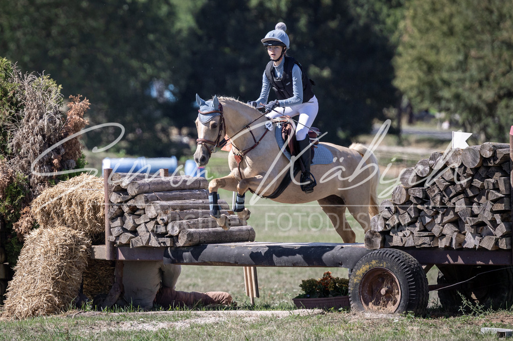 20260906-_3LI3700 | Tierfotografie Pferde, Hunde, Katzen, Haustiere.
Turnierfotografie Reitturniere, Reiten, Springreiten, Dressur in Hanau, dem Main-Kinzig-Kreis und dem Rhein-Main- Gebiet um Frankfurt