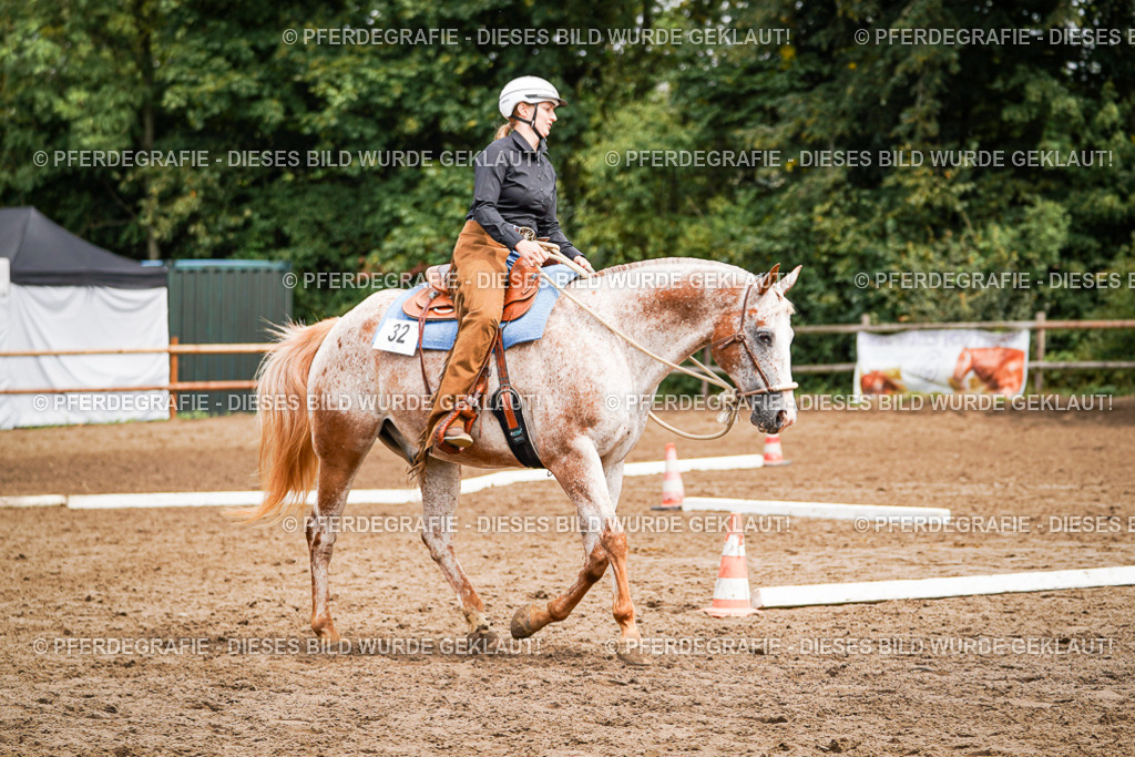 DSC04145 | Pferdegrafie