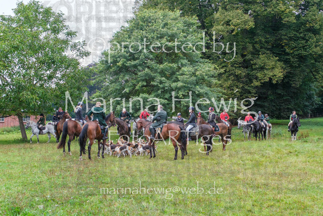 Jagd Perdoel_MarinaHewigDSCF3423 | Fotografie, FotoArt, PferdesportArt, Pferdesportfotografie, Landschaftsfotografie, Reisefotografie, Reise, Pferde - Realisiert mit Pictrs.com