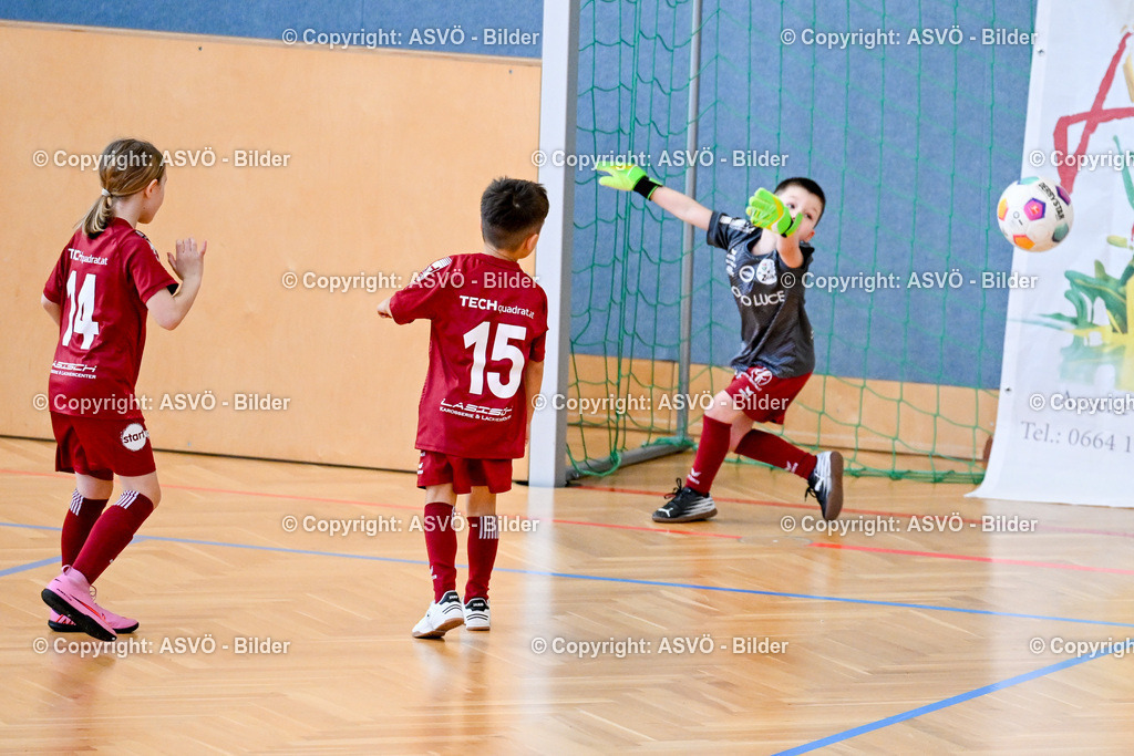 ASVÖ_ Fussball Nachwuchs Hallenturnier 2026_ SV Gallneukirchen_ 28.02.2026-253 | 28.02.2026, Gallneukirchen, AUT, ASVÖ, Fussball Nachwuchs Hallenturnier 2026, SV Gallneukirchen im Bild Teilnehmer U7©Harald Dostal / fodo.media - Realisiert mit Pictrs.com